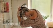 Как часто нужно мыть голову: запомните на всю жизнь