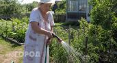 Нужно ли поливать огород в жару днем: запомните раз и навсегда, чтобы не сгубить урожай