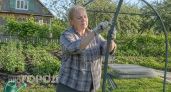 Теплицы из поликарбоната уже прошлый век: сделала переносной парник из этого копеечного материала