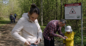 Нанесите 2 капли на кроссовки — клещи не подойдут даже на метр: простой лайфхак для прогулок в лесу
