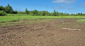 Бизнесмена из Оршанского района заставили убрать крупную свалку на плодородной земле