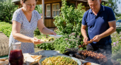 Самый вкусный гарнир из молодой капусты к шашлыку: Мишлен такого еще не пробовал