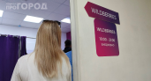 Подделки и бесконечные возвраты — раньше было дешевле: почему россияне бегут с Wildberries и Ozon