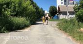 Жители Марий Эл круглый год живут без воды: Бастрыкин займется вопросом