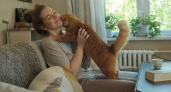 "С любовью о котиках": полезные советы и рекомендации от экспертов