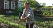 Не навоз и не химия: дешевое средство с кухни спасает даже самую усталую почву