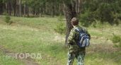Клещи обходят стороной эти два района Марий Эл: за неделю ни одного укуса