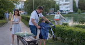 Комары вернутся к своим и в панике прогонят весь рой: они не переносят этот приятный человеку запах
