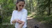 Что делать, если вас укусил клещ, а до больницы 100 км: советы врачей скорой помощи