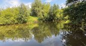 Реку Ронга закрыли для купания из-за опасных бактерий