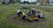 В Йошкар-Оле зацвели разворотные кольца