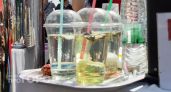 Хуже чем водка: ученые забраковали популярный среди россиян напиток – а мы пьем его каждый день