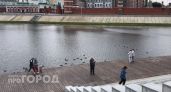Сильный дождь весь день будет поливать Марий Эл