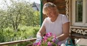 Посадила эти цветы на даче - уже 5 лет ни одного клеща: список