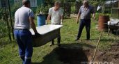 Треснувшая ванна + немного цемента: рукастый зять показал, как сделать декоративный пруд за полдня