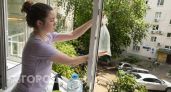 Повесила пакет с водой у окна - ни одной мухи за все лето: как работает простой бесплатный способ