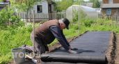 Застелила грядки этим материалом из "Фикс Прайса" - сорняков нет уже второй месяц