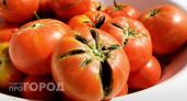Можно ли есть огромные потрескавшиеся помидоры: агроном объяснил, почему так происходит и есть ли в них зараза