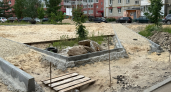 В пешеходной зоне в Йошкар-Оле появятся 12 клёнов и 5 голубых елей