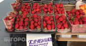 В Звениговском районе пройдет клубничный фестиваль с концертом и дегустацией