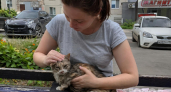 Кошка прощается с хозяином навсегда: четкие и понятные сигналы тем, кто сможет их считать