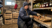 Вечная сырость в погребе ушла за час: метод, который в деревнях передают из поколения в поколение
