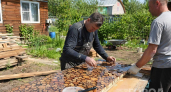 Сосновые шишки - клад для хозяина: как из старого поддона и эпоксидки сделать "хвойный" стол на даче