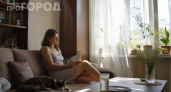 Солнце жарит прямо в окна, а кондиционера нет: 5 рабочих способов охладить комнату без больших трат