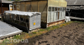 Закрывать или оставлять открытой: что делать с дверью в теплице после заката