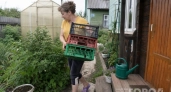 Пластиковые ящики прошу даже у соседей: 5 способов применить их на участке с пользой для урожая и красоты