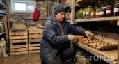 Вечная сырость в погребе исчезла за час: метод, который в деревнях передается из поколения в поколение