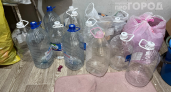 Отрезаю у бутылки дно и делаю классные вещи для дома и сада: бюджетный декор с вау‑эффектом