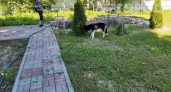 Сорняки между плитками сгнили без следа: сделал смесь из того, что было на кухне