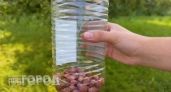 В Алтайском крае собирают урожай ведрами именно этим способом: попробуйте лайфхак с бутылкой, который ускоряет сбор ягод в разы