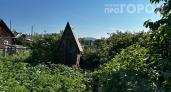 Убрал на даче эту старую вонючую кабинку: теперь даже гости просят показать мой новый туалет