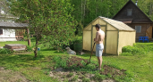 В Петров день всё перекопала — а потом узнала, что так нельзя: какие работы в огороде под запретом 12 июля