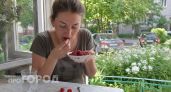 Червяки исчезнут за 10 секунд: как замочить малину, чтобы осталась чистой, свежей и упругой