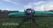 Адская жара до +41 уничтожит весь урожай: синоптики назвали точные даты