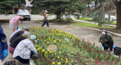 30 школьников из Йошкар-Олы летом вместо соцсетей выбрали лопаты и грабли