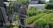 Старые оконные рамы не выкидываю: за 2 часа сделала гениальный парник, который стоит уже 10 лет