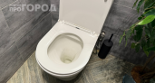 Ходить в туалет на унитаз больше не в моде: что теперь выбирают продвинутые хозяева 