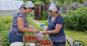 Клубнику не кручу вареньем — храню в банке ягодка к ягодке: едим всю зиму как только что с грядки