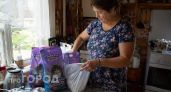 Скупаю в «Светофоре» кошачий наполнитель мешками: не для питомца, но для погреба на даче незаменим