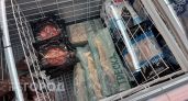 Не семга и не форель: самую полезную рыбу назвали врачи - полна Омега-3