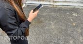 Жительница Параньгинского района 3 месяца жила за счет карты тети: оплачивала еду, телевизор и онлайн-казино