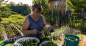 Хрустящие и сочные: мариную потрясающие огурчики по-немецки - за столом съедают первыми
