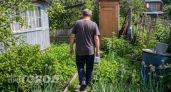 Соседи сделали дачный туалет без выгребной ямы - удивляюсь уже третий год: ни запаха, ни хлопот