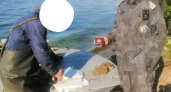 430 метров сетей забрали у браконьеров во время рейда по водоемам Марий Эл