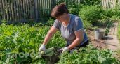 Больше не жарю и не запекаю: шикарный рецепт, после которого не останется ни одного кабачка