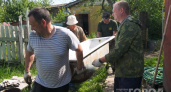 Ржавая ванна стала украшением сада: простой способ превратить дачный хлам в декоративный пруд